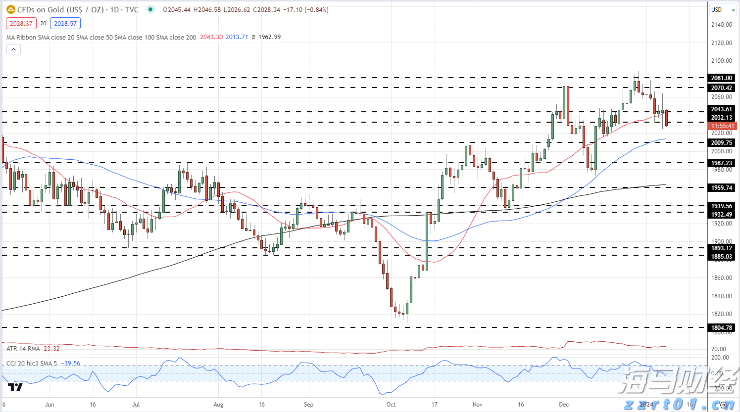 在广东绿美保护地，人与自然彼此治愈