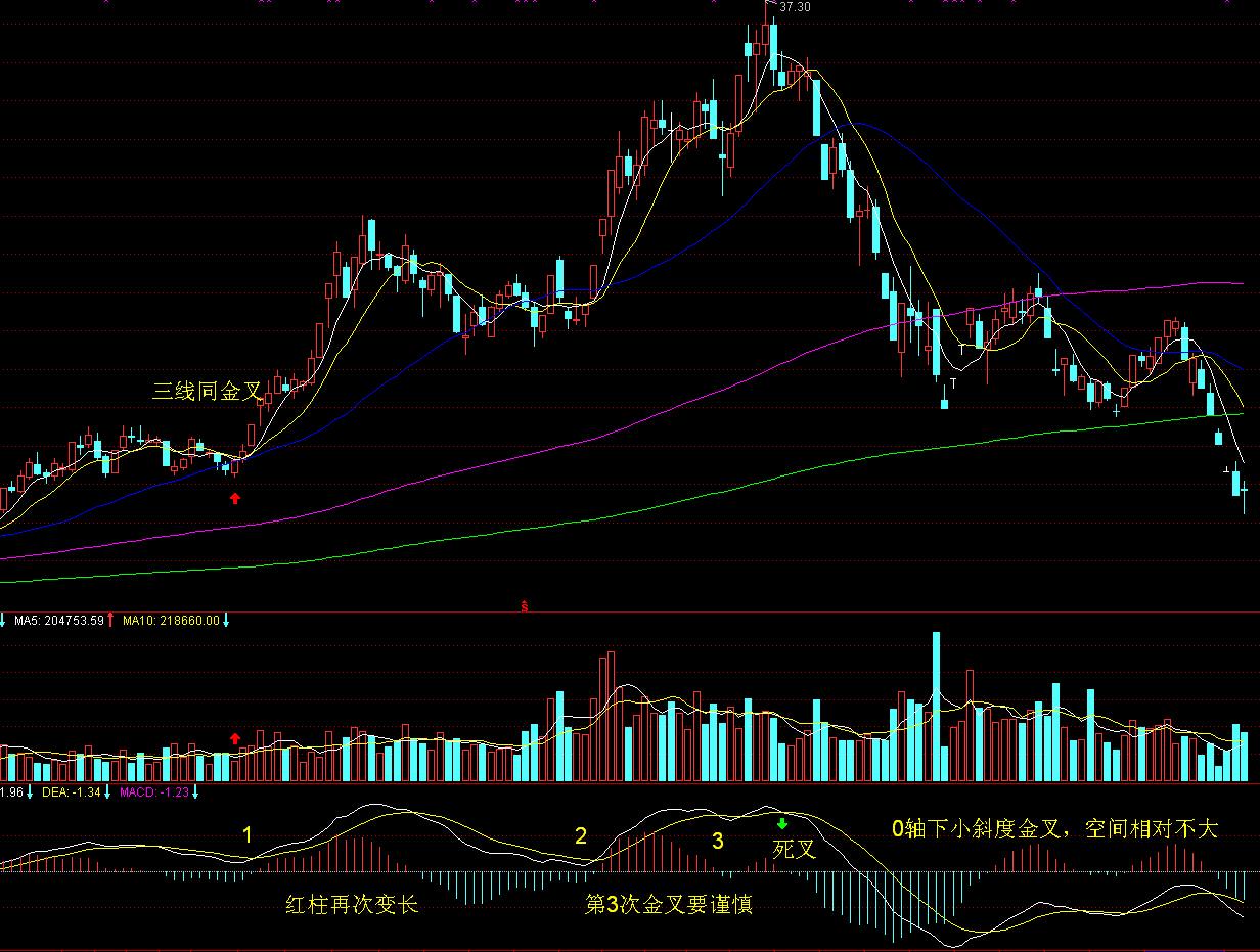 港澳人士在粤捐赠兴办公益事业，可申办粤Z号牌！办理指引→