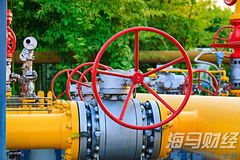 粉丝生产加工厂污水处理方法及流程（粉条厂污水处理工艺方案）